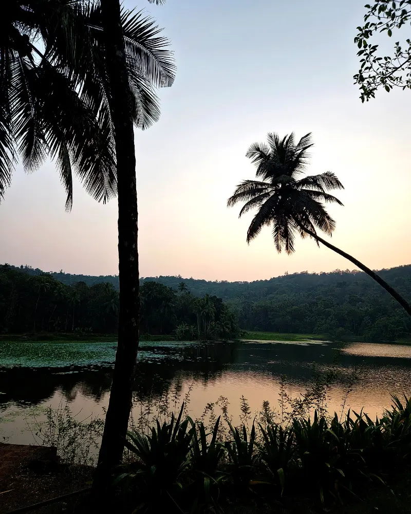 A lakeside view of Walawal village in the Konkan