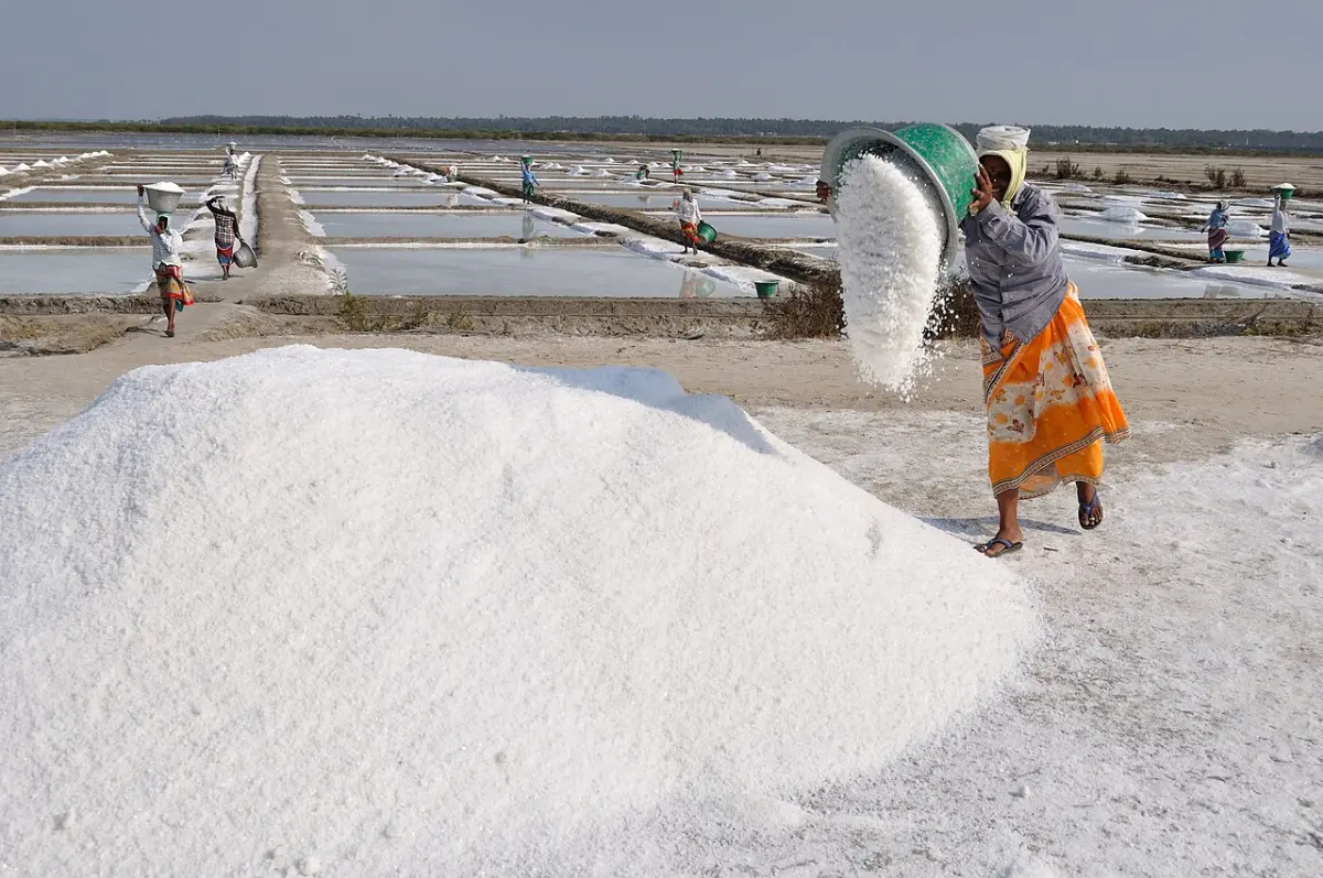 Workers raking salt in traditional salt pans